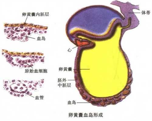 北京代孕最新技术_乳腺增生对胎儿有影响吗