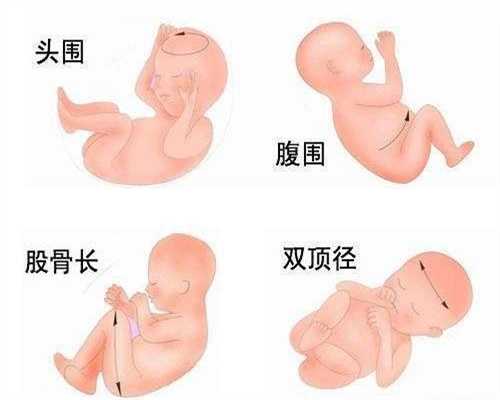 北京代孕生子大概多少钱_6个月宝宝需要补充什么