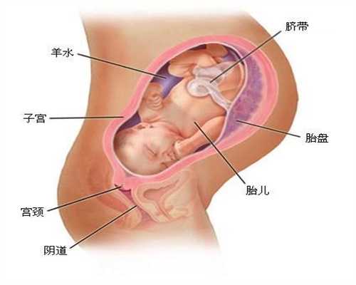 北京代孕孩子包性别_婴儿11个月体重下降是什么