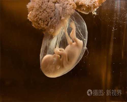 2020年北京代孕_怀孕什么时候肚子开始变化？怀孕