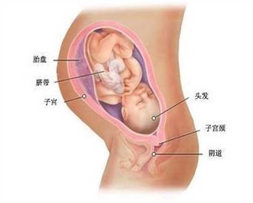 北京哪里有代孕：环境胎教对宝宝成长是重要的