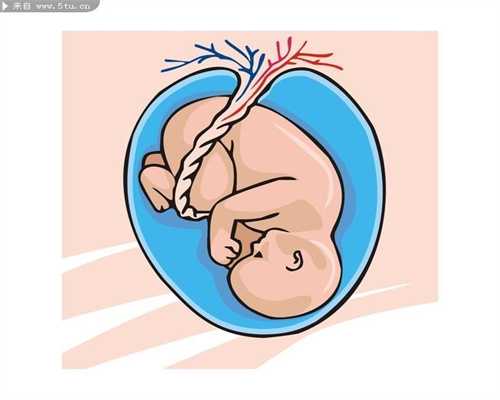 <b>北京代孕一次多少钱：警惕出生缺陷！是胎儿死亡首恶</b>