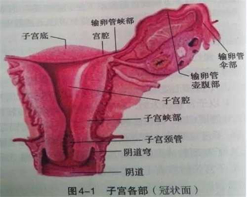 北京有专业供卵代孕医院吗：女人怀孕后都有