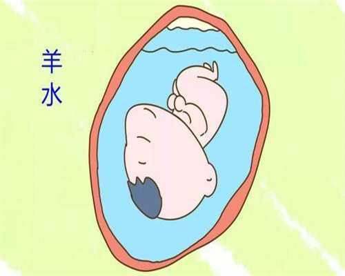 北京代孕试管：科学分析决定胎儿性别的因素