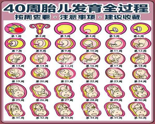 北京代生小孩：男人避孕需注意