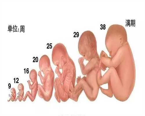 北京代孕哪家靠谱：关于产假您了解多少