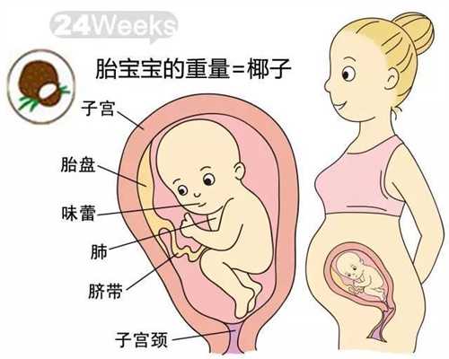 北京代孕有什么要求吗：妈妈在孕期吃什么食物补铁