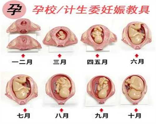 北京代孕合法吗：缓解孕妇吃不下东西的小方法