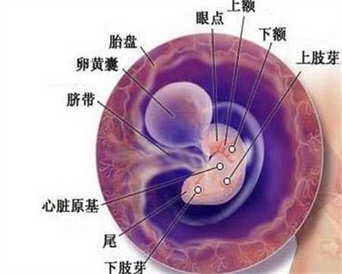 北京代孕代孕机构：23岁产妇分娩，产房外来了十几个家属，孩子出生后护士才