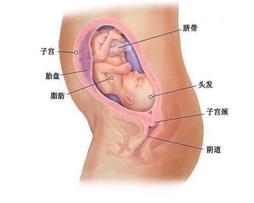 北京代孕的服务哪家好：八年整成范冰冰的网红孕妇，分娩后孩子颜值成焦点，