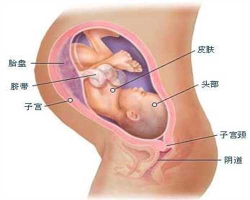 北京做代孕能生男孩吗：玩家游戏圈的发源地
