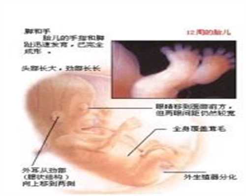 北京代孕生子：27岁妈妈直播分娩过程，揭秘产房真相