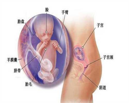 <b>北京代孕医院吗：宝妈正在喂奶，公公却在旁边逗娃：没有距离感的家庭不止是</b>