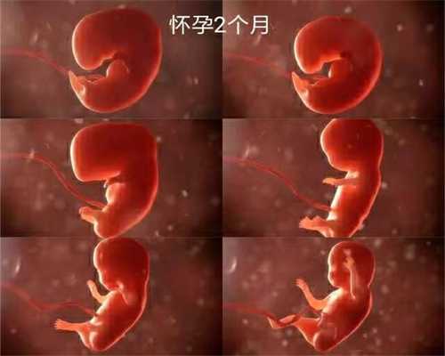 北京代孕包生孩子：ChinaJoy迎最严着装规定：胸、肚脐和臀线都不能露