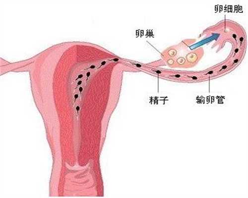 北京代孕选男女费用：北京代孕的价格是多少_北京代孕代怀孕机构