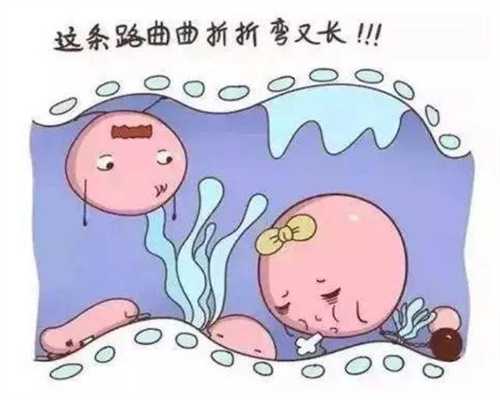北京有哪些代怀孕机构_胎动的感觉