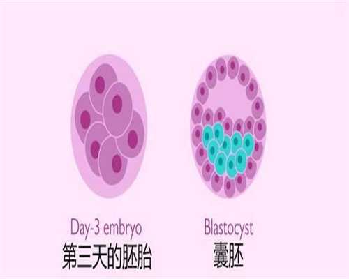 北京代孕花费`北京试管代孕平台`北京试管代孕代孕产子合法吗