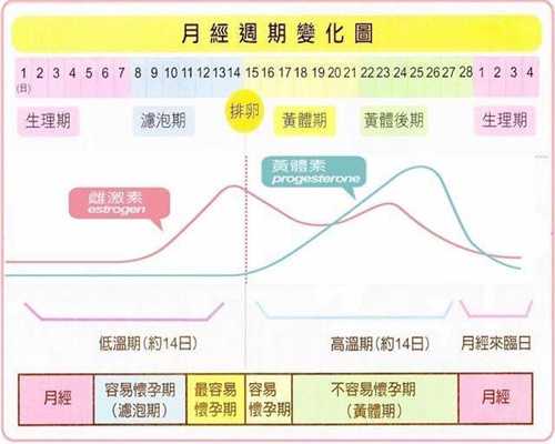北京代孕费用是多少_生过孩子多久上避孕环