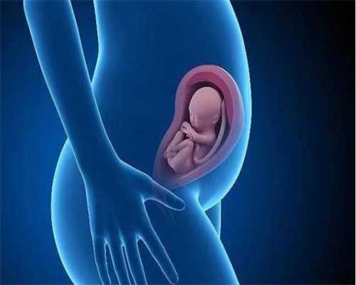 北京代孕医生_孕晚期胎动厉害 孕晚期胎动频繁的因素