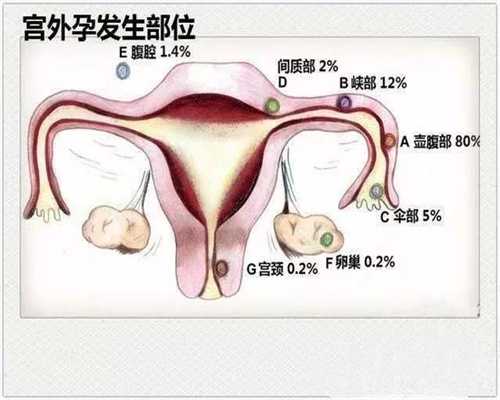 北京代孕婴儿~北京代怀孕生孩子~北京试管助孕公司地址