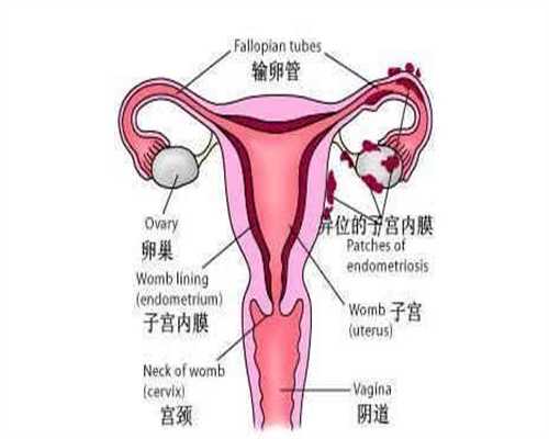 北京代孕协议-有北京代孕医院吗-妊娠高血压多久可以停药
