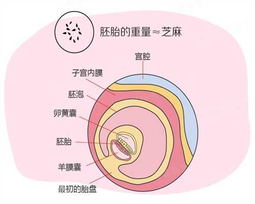 北京代孕生子-北京代孕真实吗-北京那里有做代孕的