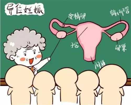 北京代孕网_北京代孕流程_北京胚胎代孕的风险