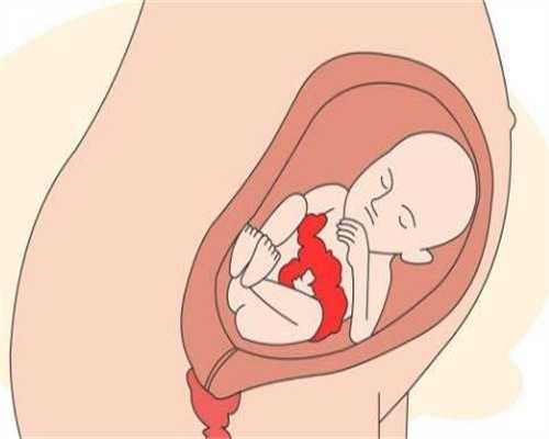 苏州供卵试管协议~苏州有供卵试管的地方吗~怀孕被蚊咬到一个大包会影响宝宝