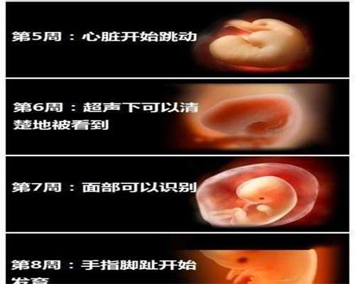 北京谁有代孕群的号码：北京代孕试管大概需要多少钱_北京代怀生子价格