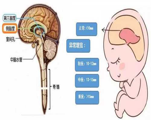 <b>北京代孕能选性别吗：北京代怀孕成功率高_北京代孕需要多少钱</b>