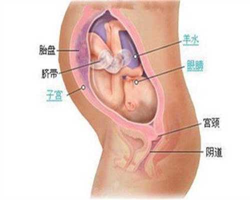 <b>北京代孕一键咨询：北京代孕保定网站_北京代孕公司排名</b>