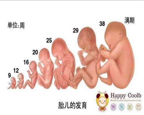 北京代孕成功率排行：北京代孕怎么找靠谱公司_北京2020最新代孕价格