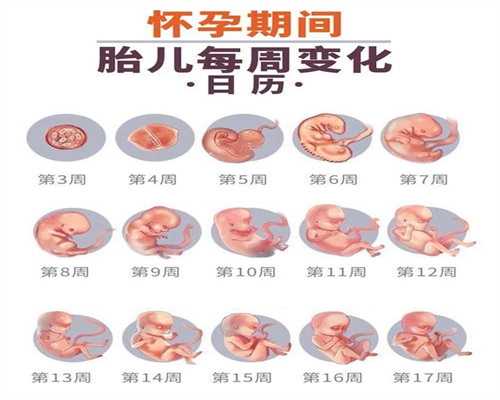 <b>北京代怀孕咨询：北京代孕代怀孕价格表_北京代怀孕助孕机构</b>