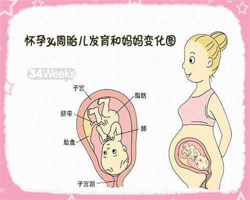 北京代孕需要多少钱：北京代孕价格表查询_北京代孕宝宝网