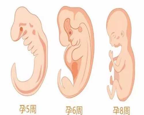 北京代孕生子：北京找个代怀孕要多少钱啊_北京代孕北京联系方式