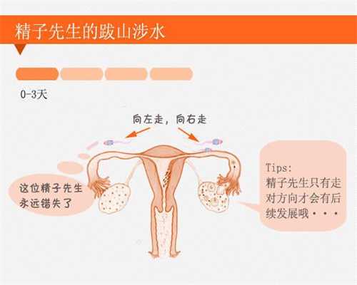 北京世纪代孕总部_北京圣宝妇产医院做试管婴儿成功率怎么样的？ 