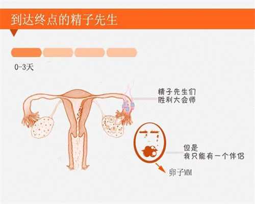 北京有代孕女人吗_试管婴儿成功率 北京陆军总医院做试管婴儿怎么样？所谓的