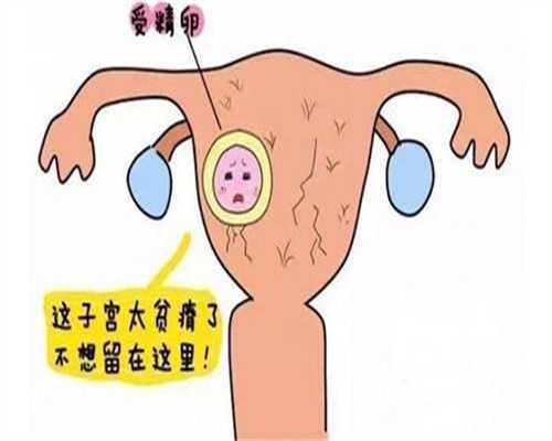 北京试管代孕的成功率怎么样-试管婴儿代孕的具体步骤_试管婴儿是亲生的孩子