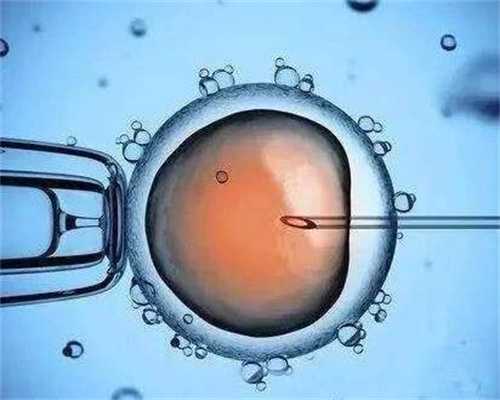 北京找靠谱代孕-海外代孕_北京哪家医院做试管婴儿好 胚胎移植可以多移几个胚